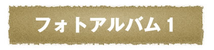 フォトアルバム１