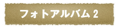 フォトアルバム2